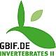 To GBIF-DE Invertebrates II